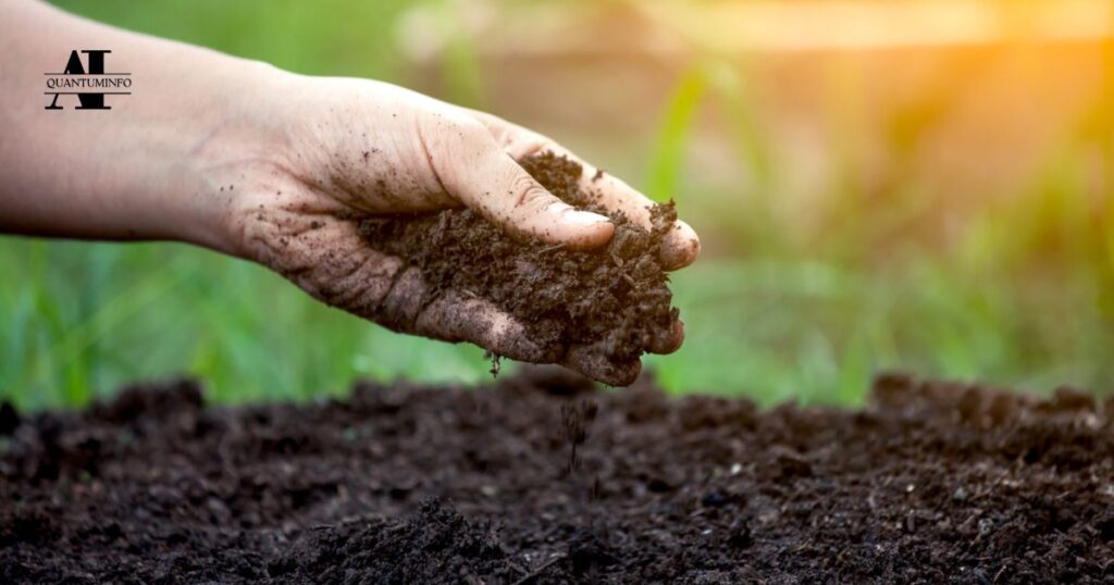 Soil health management